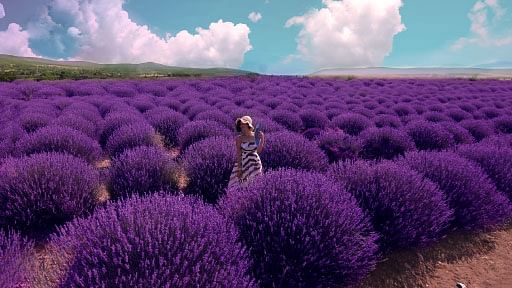 Grasse - Perfumery and lands of flowers