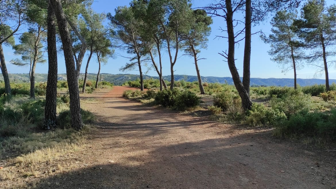 Parc Victor Mellan: Une gemme cach&eacute;e aux Pennes-Mirabeau